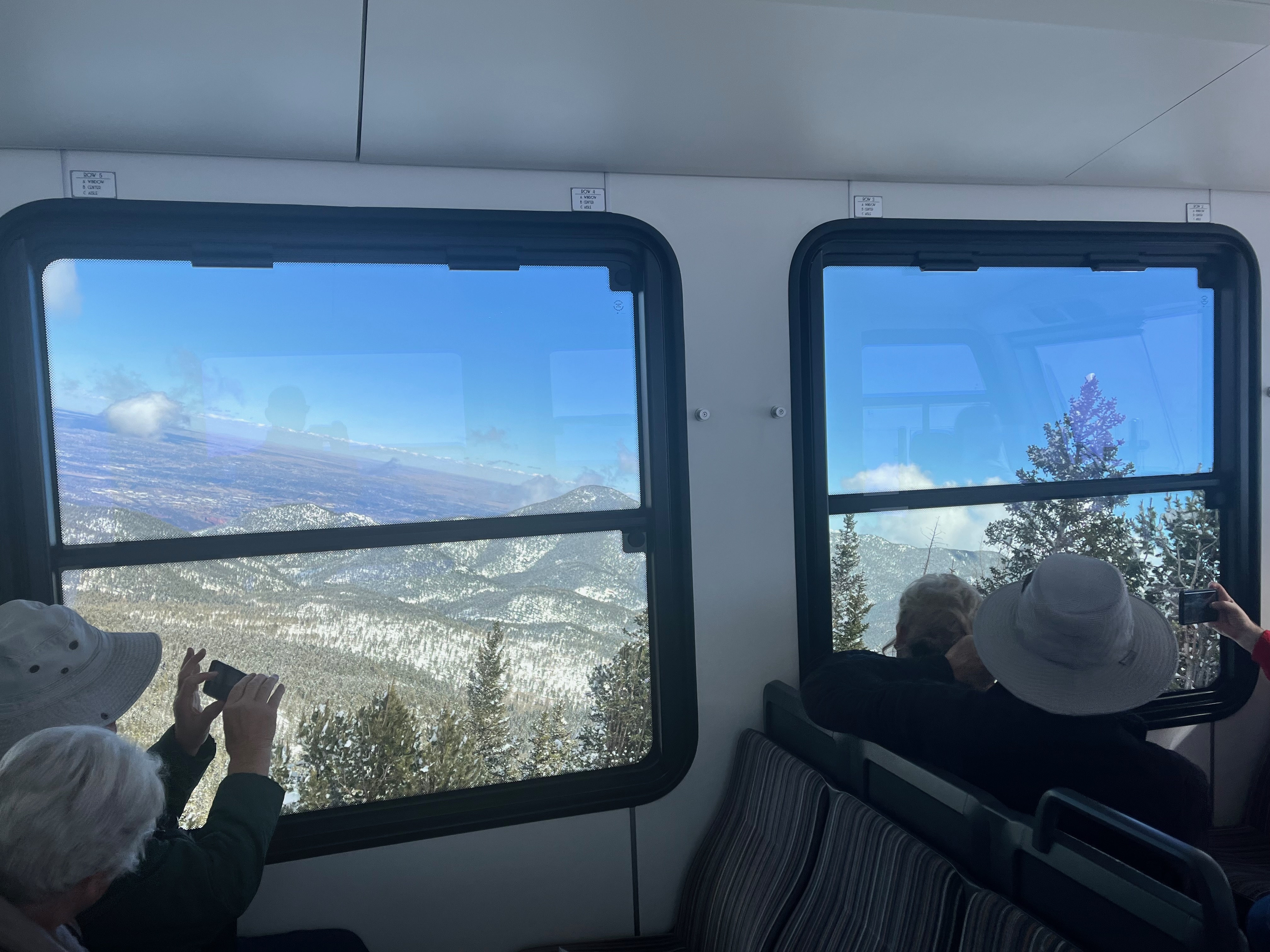 Companion Activity
